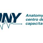 LOGO ANY ANATOMYY